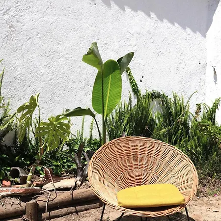 Quinta Maria Gil - A *