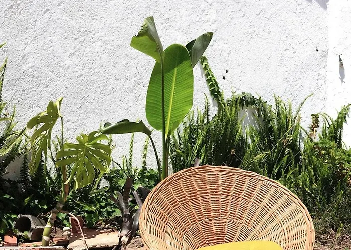 Quinta Maria Gil - A *