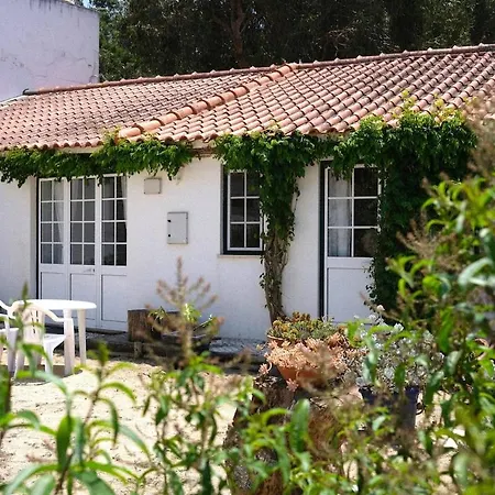 아파트 Quinta Maria Gil - A 로리냐