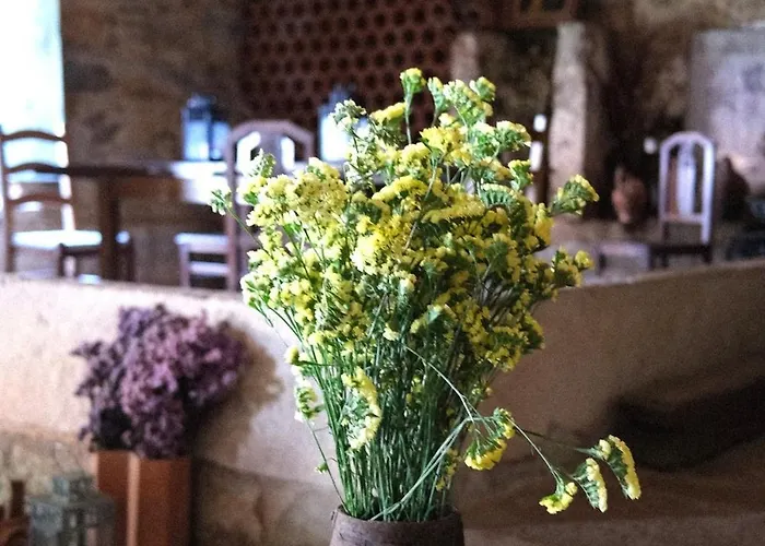 Quinta Maria Gil - A Апартаменты